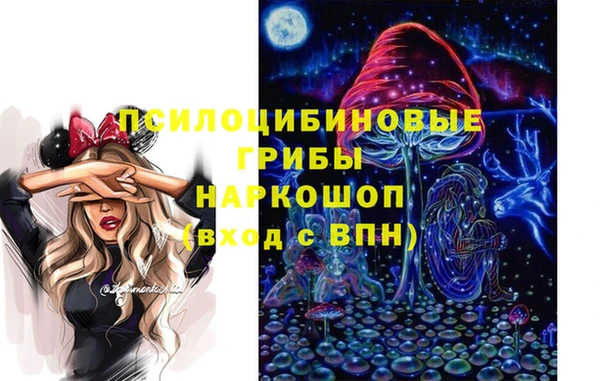 стаф Абинск