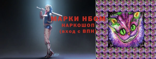 стаф Абинск