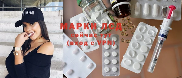 стаф Абинск