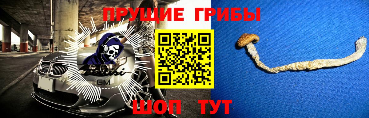 Юрга  Псилоцибиновые грибы ЛСД  Вход с VPN 